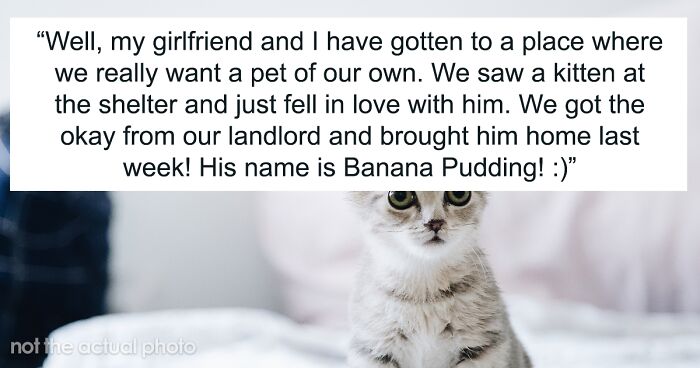 Woman Demands Roommate Keep Her Cat In Her Bedroom 