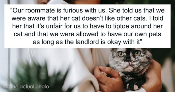 Woman Thinks It's Unfair She Has To Tiptoe Around Roommate's Cat's 