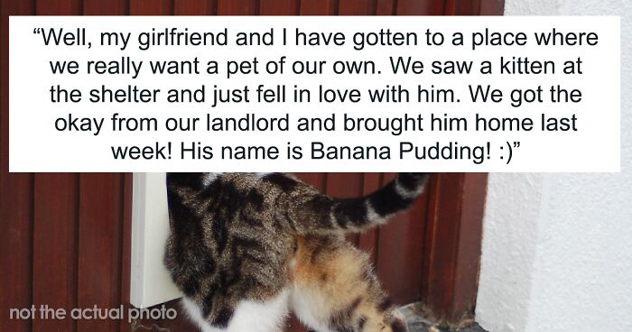 Netizen Wonders “AITA For Asking My Roommate To Keep Her Cat In Her Bedroom?”