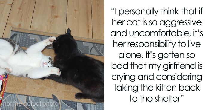 Woman Thinks Its Unfair She Has To Tiptoe Around Roommate's Cat's 