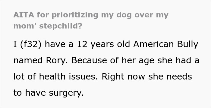 Woman Chooses Her 12 Y.O. Dog Over Her Mom’s 5 Y.O. Stepson, Gets Called A Jerk