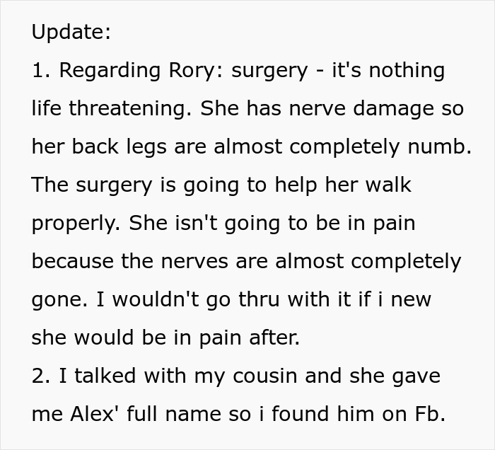 Woman Chooses Her 12 Y.O. Dog Over Her Mom’s 5 Y.O. Stepson, Gets Called A Jerk