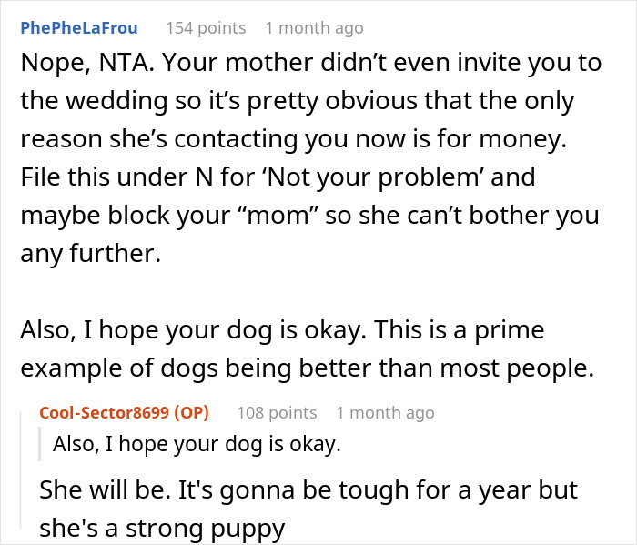 Woman Chooses Her 12 Y.O. Dog Over Her Mom’s 5 Y.O. Stepson, Gets Called A Jerk