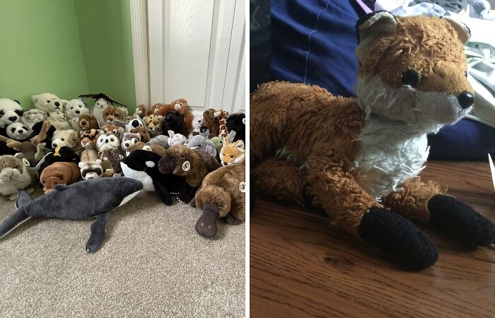 Hey Pandas, Post A Picture Of Your Stuffed Animals (Closed)