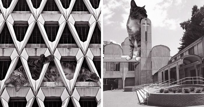 This Instagram Account Juxtaposes Brutalist Buildings With Super-Scaled Cats For Your Daily Dose Of Furballs And Concrete (96 New Pics)