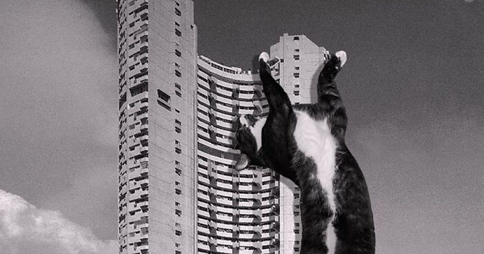 Instagram Account Combines Brutalist Architecture With Giant Cats And The Result Is Adorable (96 New Pics)