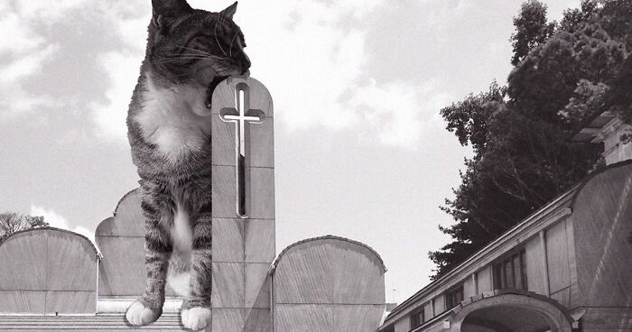 This Instagram Account Combines Brutalist Architecture With Cute Cats (96 New Pics)