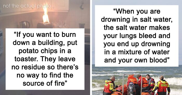 77 People Share The Weirdest Facts They Know That Never Fail To Amuse Others