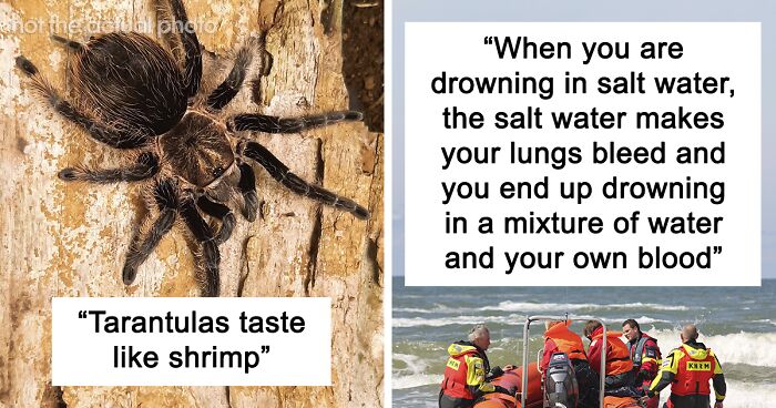 People Share 50 Random And Weird Facts That Make Others Think ‘How The ...