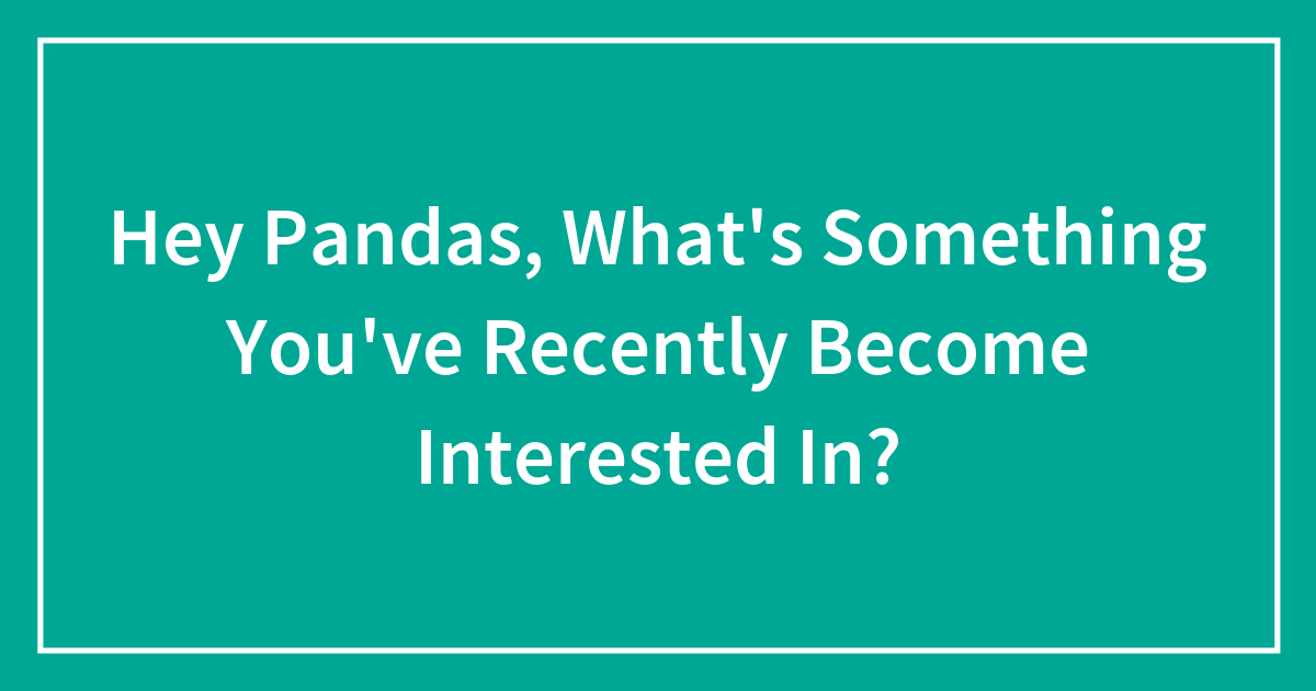 Hey Pandas, What’s Something You’ve Recently Become Interested In ...