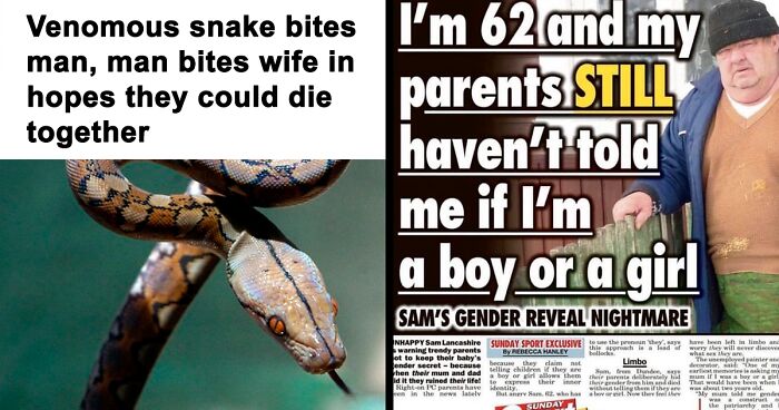 99 Of The Most “Insane Internet Headlines”, As Shared By This Twitter Page