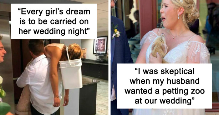 91 Times People Witnessed Something Funny Or Unusual During A Wedding And Just Had To Take A Pic Of It (New Pics)