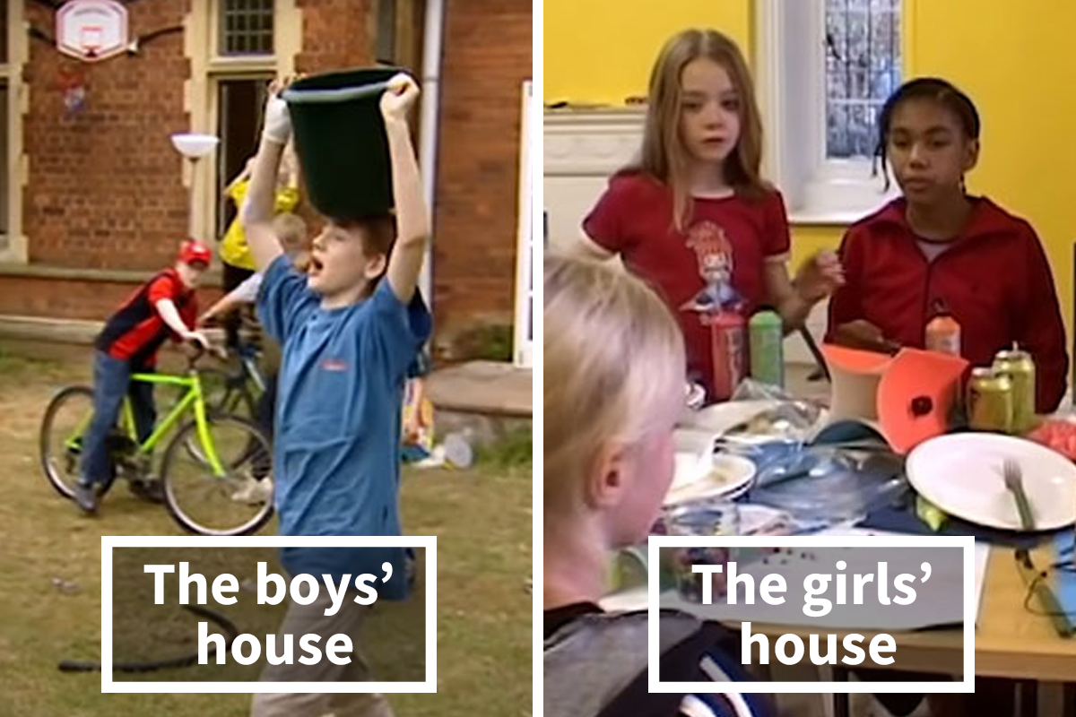 Do boys and girls naturally prefer different toys?