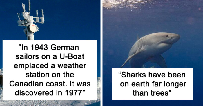 42 Various Facts From History That Seem Totally Unbelievable, Yet Are Completely True, As Told In This Online Community