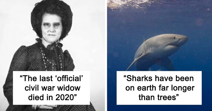 42 Historical Facts Which Appear To Be Too Bizarre To Be True Yet They Are, As Told By Folks In This Online Thread