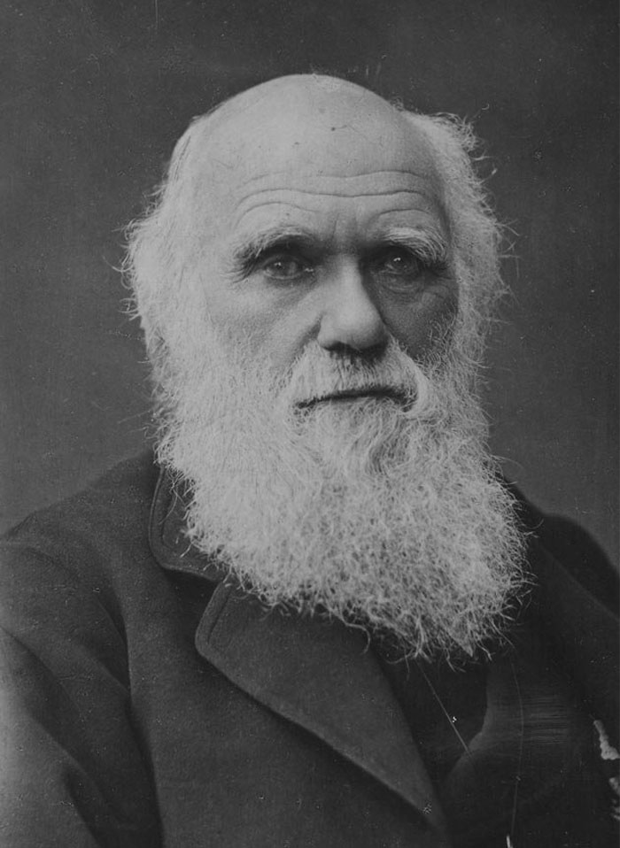 Black and white picture of Charles Darwin looking