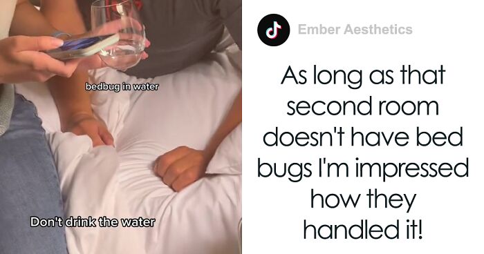 Woman Documents Hotel’s Brilliant Response After Finding A Single Bedbug In A Room