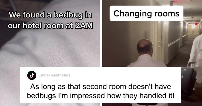 Woman Documents Hotel’s Brilliant Response After Finding A Single Bedbug In A Room