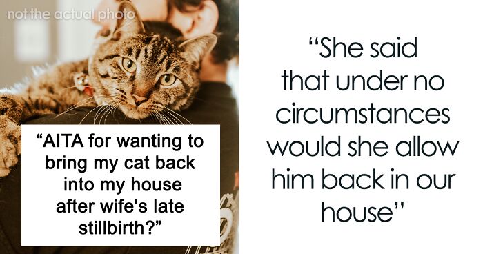 “She Told Me That I Could Pretty Much Choose Between Her Or Bubba”: Man Asks If He’s Wrong To Want His Cat Back At Home After Wife’s Stillbirth