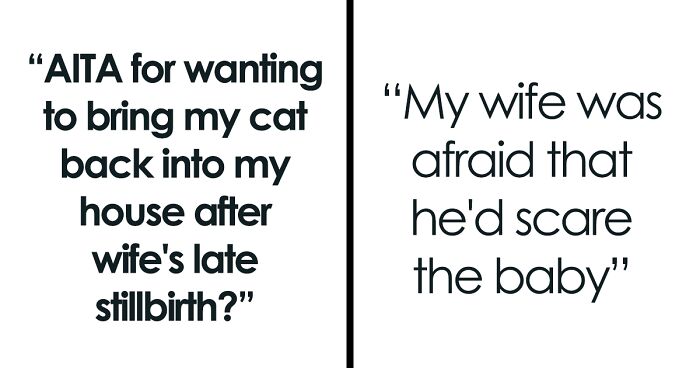 Man Asks If He's Wrong To Want His Cat Back In The House After Wife Made Him Get Rid Of Him When She Was Pregnant