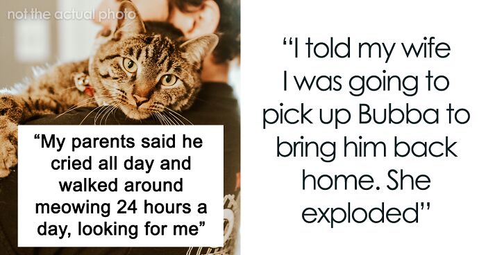 Man Asks For Advice After Pregnant Wife Makes Him Get Rid Of His Cat That He Had For 12 Years