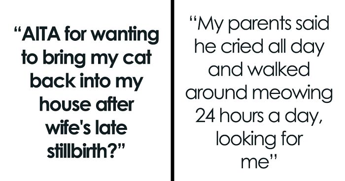 Pregnant Woman Makes Her Husband Get Rid Of His Cat, Won't Allow It Back In The House After They Lose Their Child