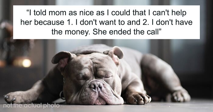 Entitled Mom Expects Estranged Daughter To Cover Her Stepson’s Medical Bills, Grows Furious When She Discovers The Daughter’s Funding Her Dog’s Surgery