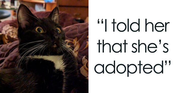 130 Adorable Adopted Pets Who Found Their Forever Families This January