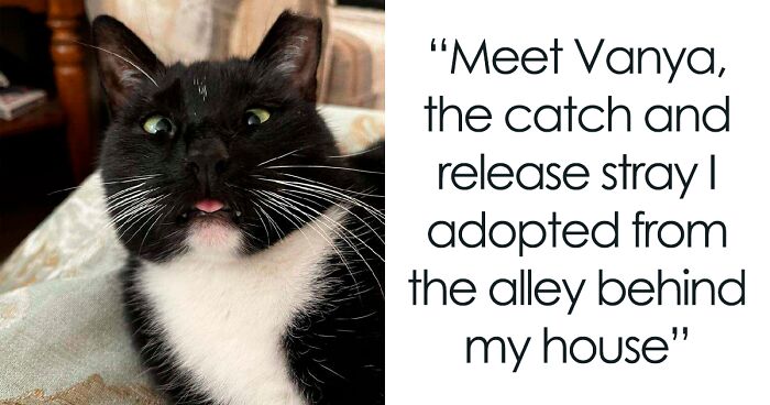 130 People Shared Pictures Of Their Recently Adopted Fuzzy Friends (January Edition)