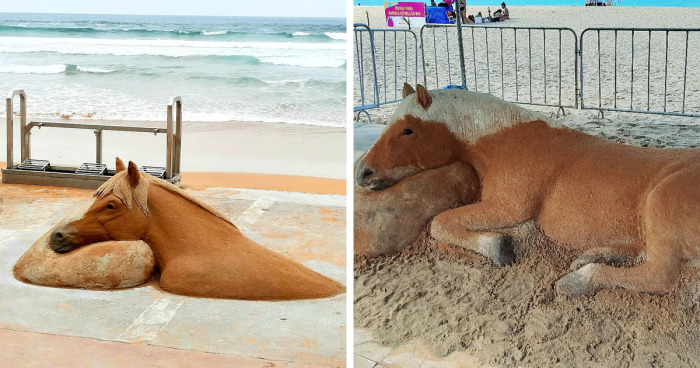 Sand Artist Creates Realistic-Looking Sculptures That Might Leave You In Awe (27 New Pics)