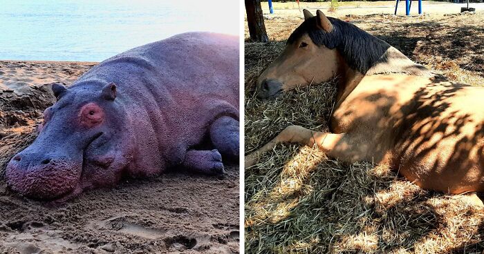 Sand Artist Creates Detailed Sculptures That You Could Easily Mistake For Live Animals If You Saw Them From A Distance (27 New Pics)