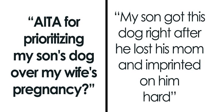 Drama Ensues After Pregnant Woman Wants To Get Rid Of Stepson's Dog For Her And Her Baby's Safety And Husband Says Her Fear Makes No Sense