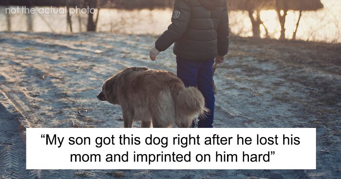 Pregnant Woman Asks Husband To Rehome His Son’s Dog Because She Is Scared It Will Jump On Her, Family Drama Ensues