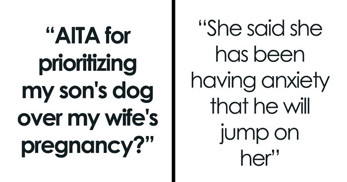 Pregnant Wife Wants To Get Rid Of Her Stepson’s Dog Because He Might “Jump On Her”