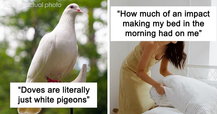 38 Things People Learned Recently That They Feel They Should Have Already Known