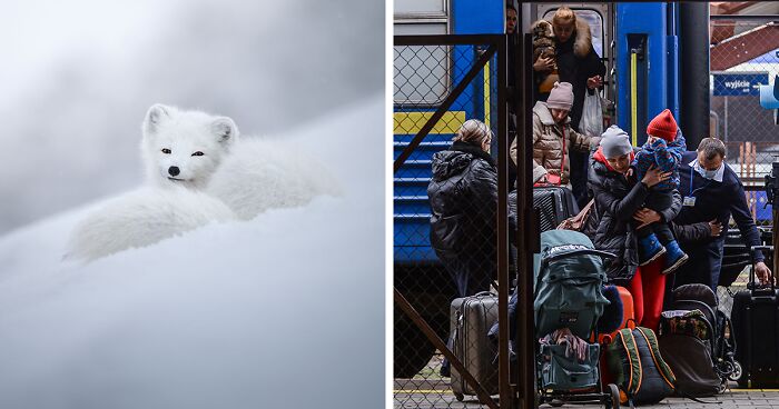 Here Are The 30 Most Powerful Images Of The Budapest International Photo Awards 2022