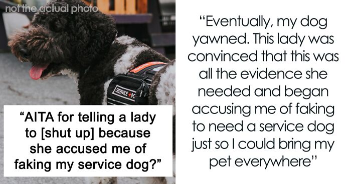 Person Asks If They Were Wrong To Shut Down Karen Who Accused Them Of Bringing A 'Fake' Service Dog To Cafe, The Internet Backs Them