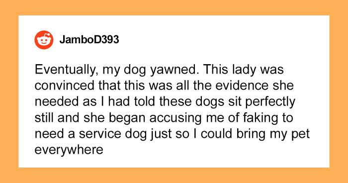 Person Loses It On 'Karen' After She Accuses Them Of Faking Their Need For A Service Dog