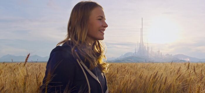 Casey in the wheat field 