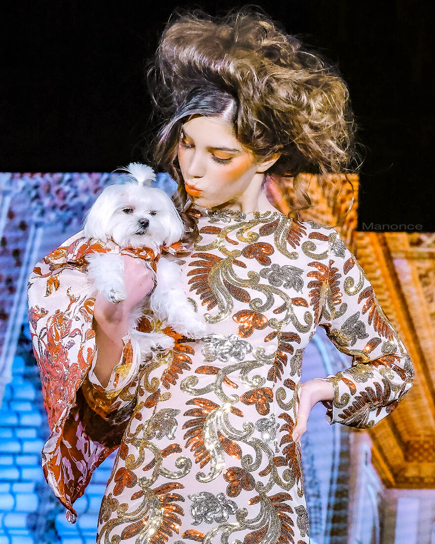 Stylish Pets Take Over New York Fashion Week