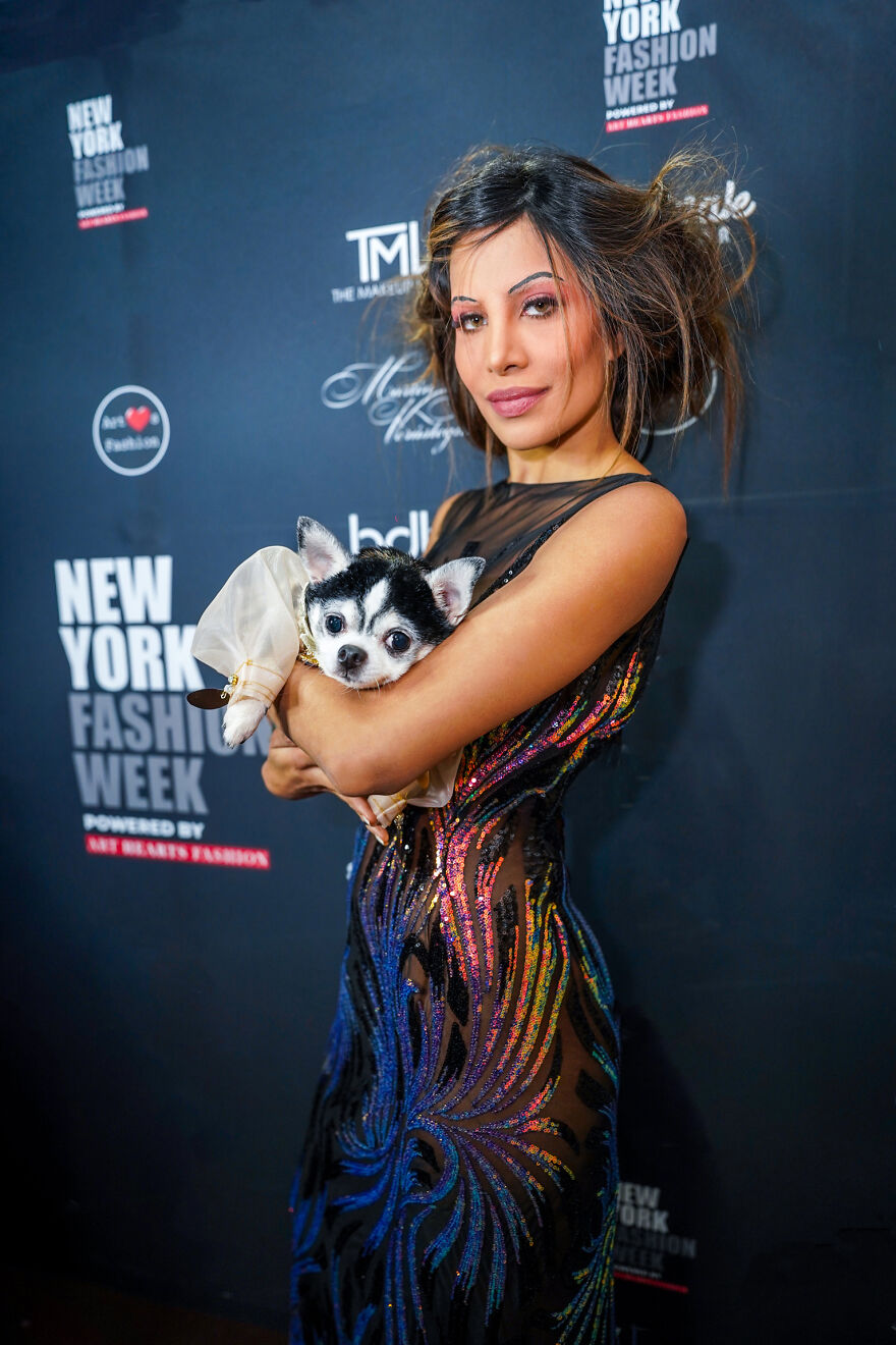 Stylish Pets Take Over New York Fashion Week