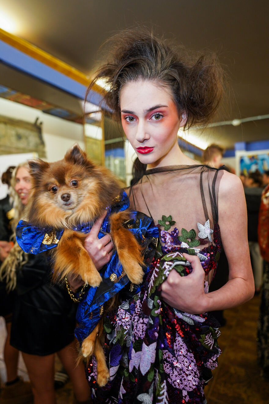 Stylish Pets Take Over New York Fashion Week