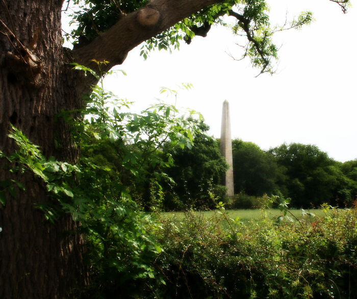 At First Glance What Grabs Your Attention, The Obelisk Or The Tree?