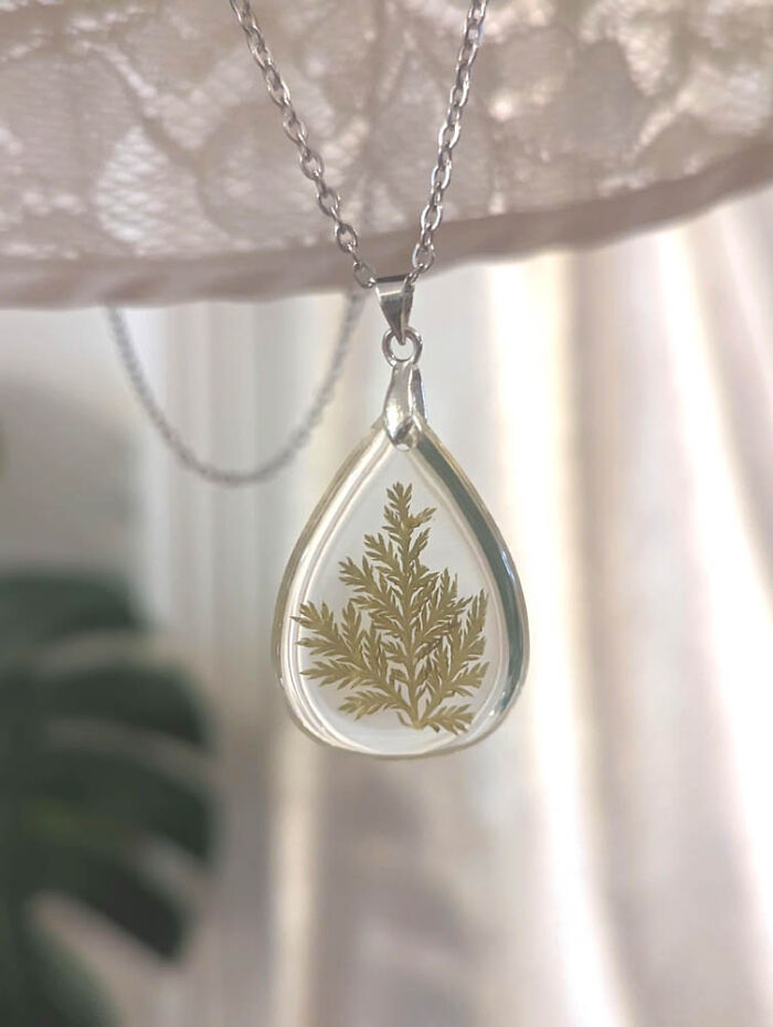 A Real Yellow Cedar From Bc Canada, Set In A Stainless Silver Pendant