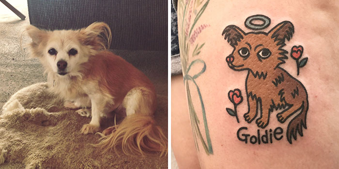 Tattoo Artist Turns Pets Into Cartoons, Allowing Owners To Never Part With Them