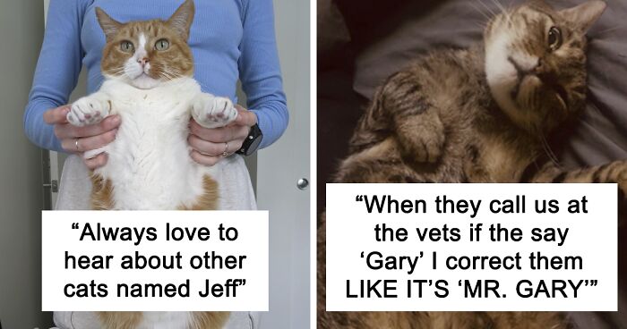 95 Times People Came Up With The Funniest Cat Names That Even Made Vets Laugh