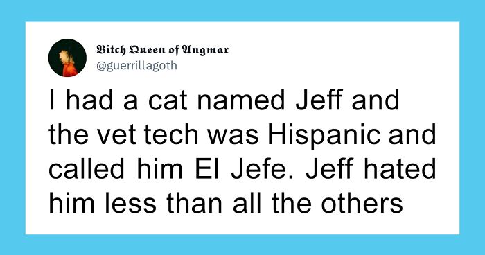 95 People Share Their Cat Names And It's The Most Wholesome And Hilarious Thing Ever