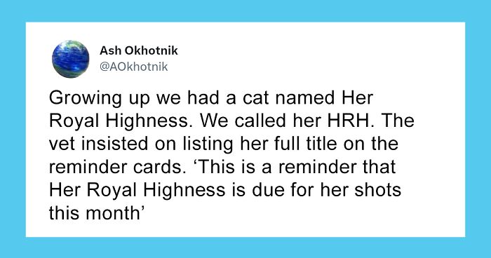 People In This Thread Are Posting Cat Names That Make Vet Appointments Funnier Than They Should Be