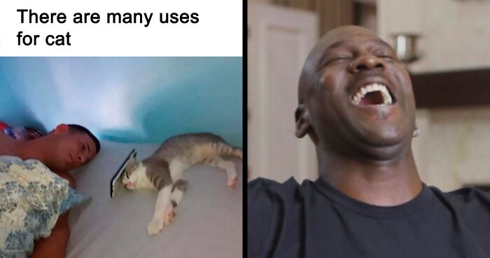 58 Of The Funniest Cat Tweets Anyone Who's Had One Can Relate To (New Pics)