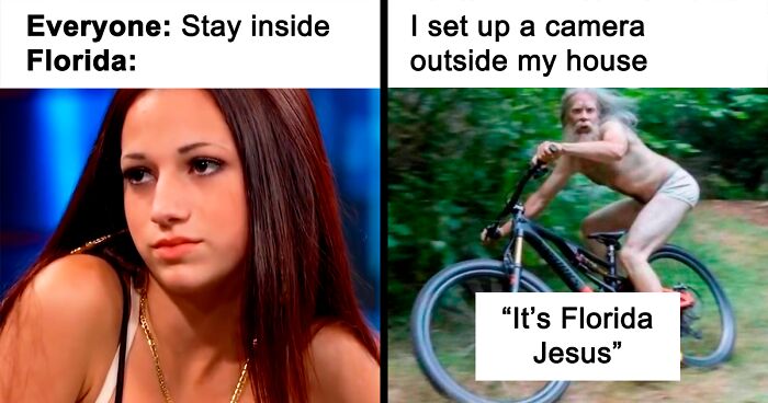 88 Wild And Funny Memes That Show That Florida Is Unlike Any Other Place In The World